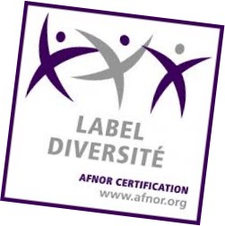 Logo label diversité
